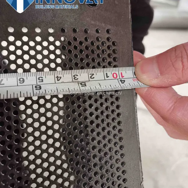 High Quality Stainless Steel Punched Metal Screen/ Perforated Metal Screen Sheet for Sale photo-3