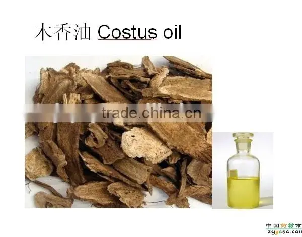 Costus Oil photo-3