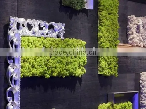 Home Decor Hot Selling Products for 2015 Artificial Plastic Green Moss Wall on Sale photo-5