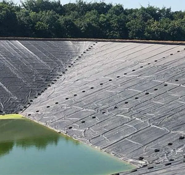 Geomembrane 0.50mm 0.75mm 1.0mm 1.5mm 2.0mm Fish Farm Pond Liner Dam Liner HDPE Geomembrane photo-2