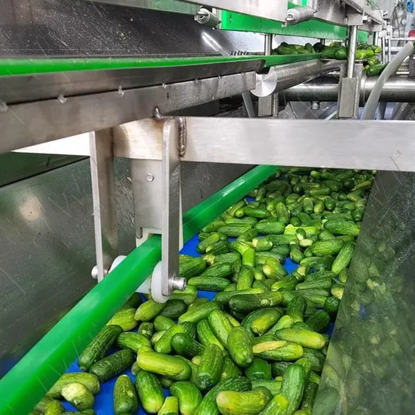 Professional Full Automatic Canned Pickles Vegetables Cucumber Production Line photo-6