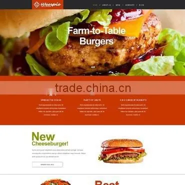 Drupal Website Development photo-2