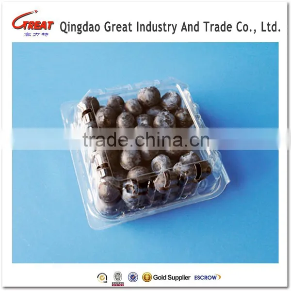 Fruit Packaging Container Food Storage Box Blueberry Packaging Punnet photo-3