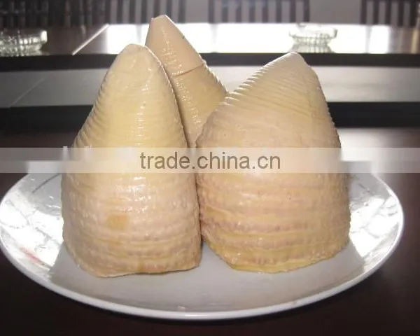 Tinned Bamboo Shoots in Whole Size 2950gram photo-4