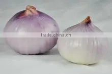 Peeled Fresh Indian Onions Red Onion