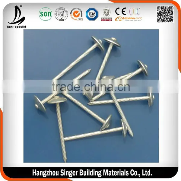 Galvanized Roofing Nails for Roofing, Best Quality Coil Roofing Nail Quality Choice photo-2