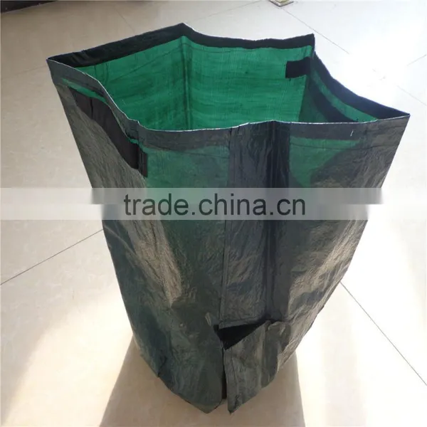 90 Gsm pe Custom Tomato Plant Bag Grow Nursery PE Bag With Handle and Side Window photo-3