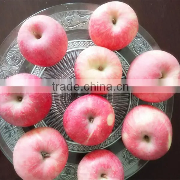 Top Fresh Fuji Apple for Indian Delicious Fuji Apple photo-4