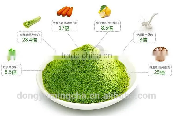 GMP Factory Supply Organic Green Tea Extract 95% for Dietary Supplements photo-5