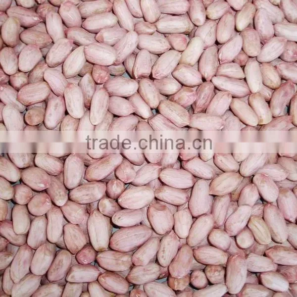 peanut kernel
