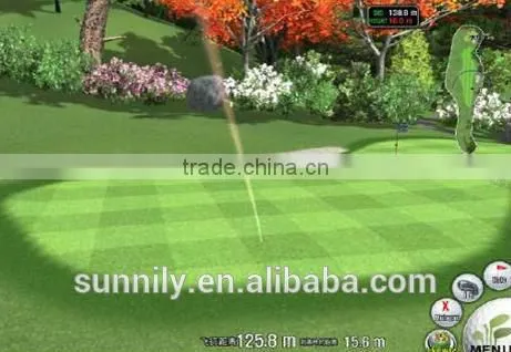 Indoor Screen Golf Simulator photo-3