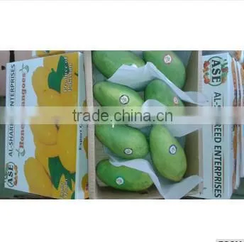 Fresh Mango (Processed / Washed) photo-4