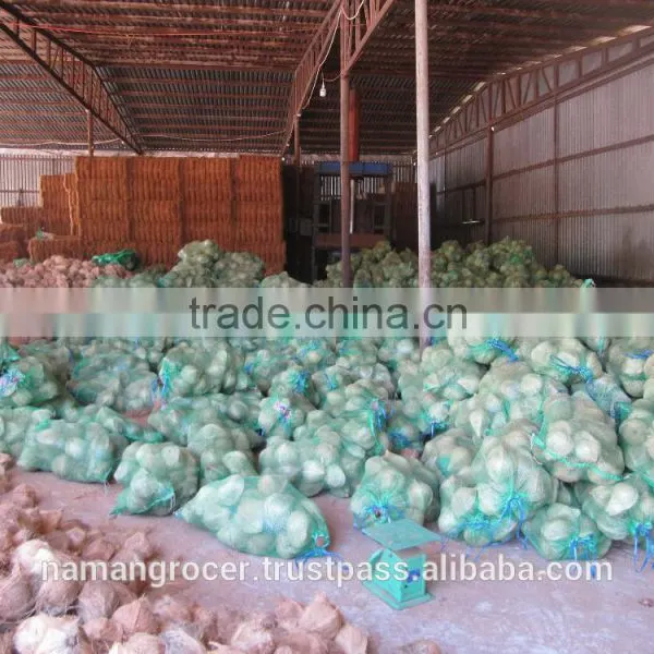 Semi Husked Mature Coconut, Vietnam Coconut