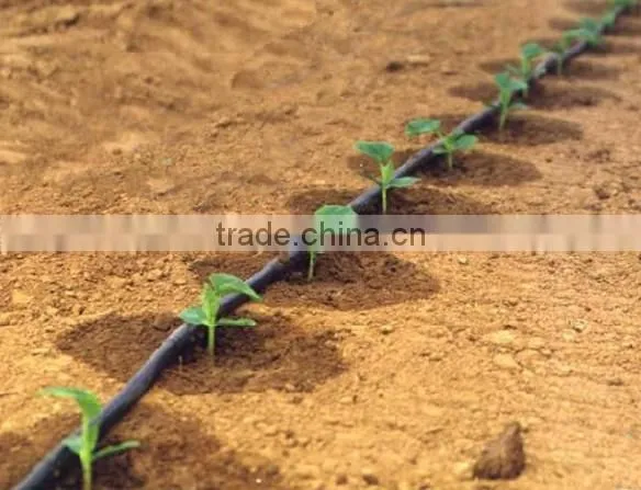 Water Saving Irrigate System Agricultural Dry Farm PE Drip Irriagtion Tubes photo-6