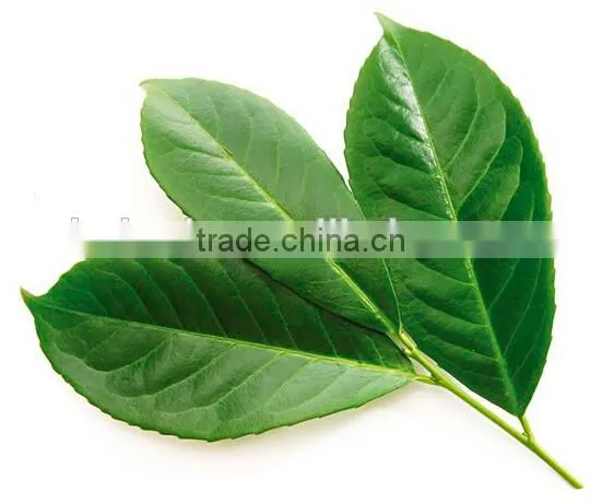 Bay Leaf Multiple Layer Continuous Type Mesh Belt Dryer photo-6