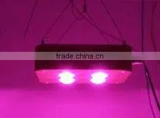 5 Watt Led Grow Light ,200w Integrated Led Grow Light for Green House Palnt photo-2
