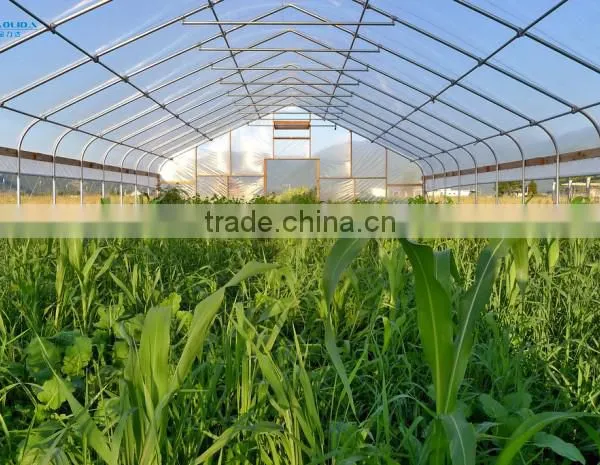 Low Cost Single-span Greenhouse Film Hoops photo-6
