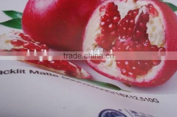1M Pvc Flex Outdoor Hanging Banner 340g photo-3