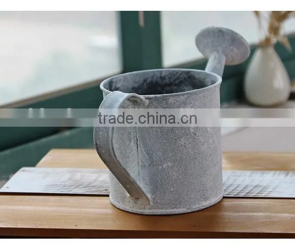 Top Seller Indoor Decorative Antique Garden Metal Watering Can for Home Deco photo-5