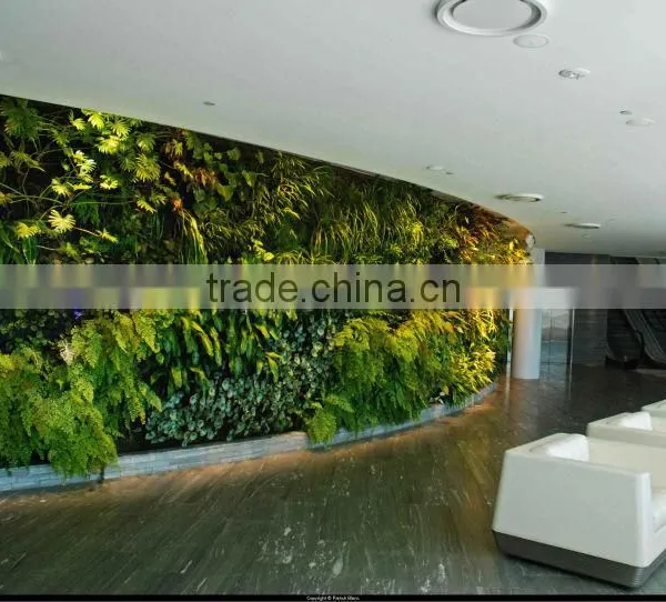 Environmental Protection Artificial Green Wall Succulent Plant Wall photo-6