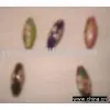 Cloisonne
