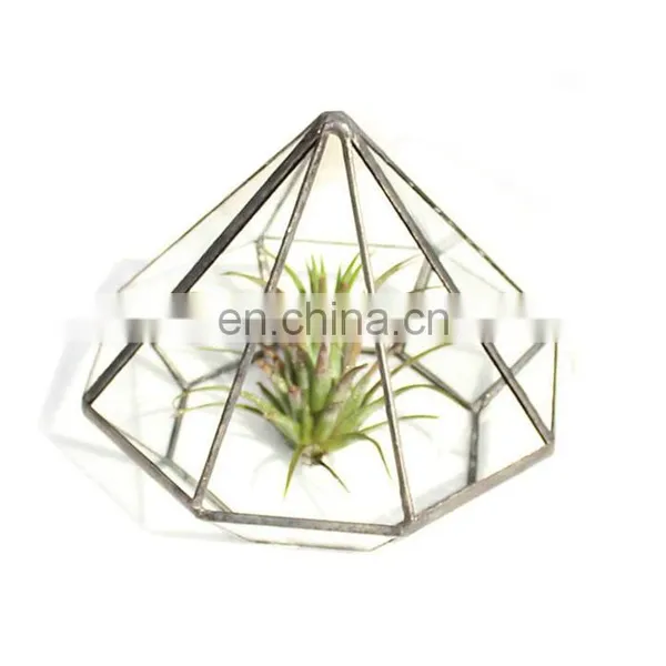 Terrarium Geometric Glass Terrarium Wholesale Diamond Model photo-2