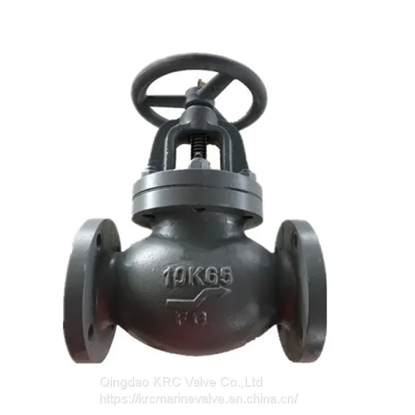 JIS Marine Valve Cast Iron Globe Valve F7307 10K
