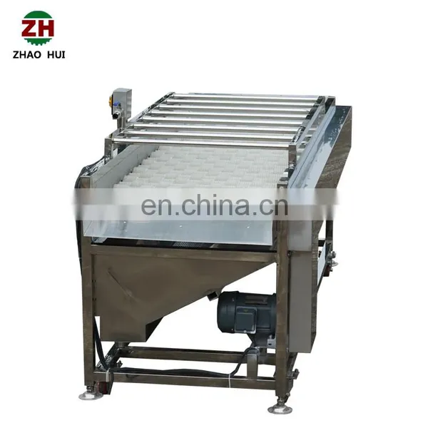 Multifunction Strawberry Cherry Plum Berry Orange Tangerine Fruit Washer Onion Radish Carrot Brush Washing Cleaning Machine photo-6