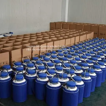 2L Nitrogen Liquid Container photo-4