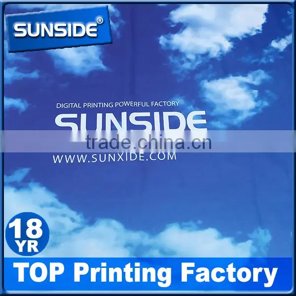 Advertising Large Hanging Banners , Promotional Flex Banner Printing -D-0603 Supplier's Choice photo-3