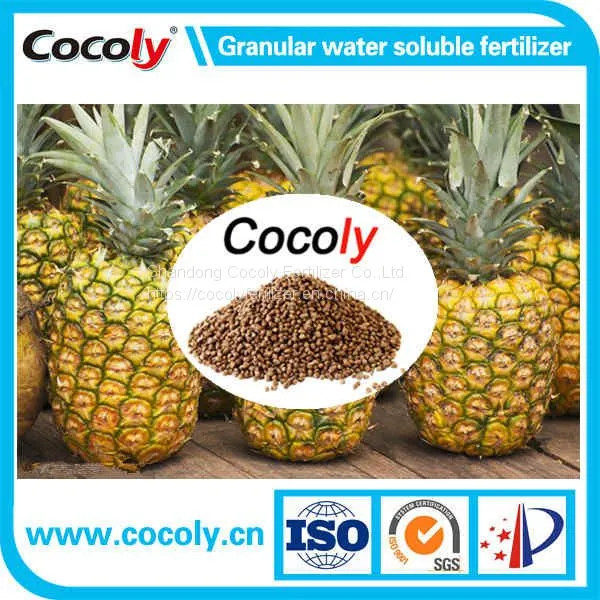 Fulvic Acid Original Powder Granular Water-Soluble Cocoly Fertilizer