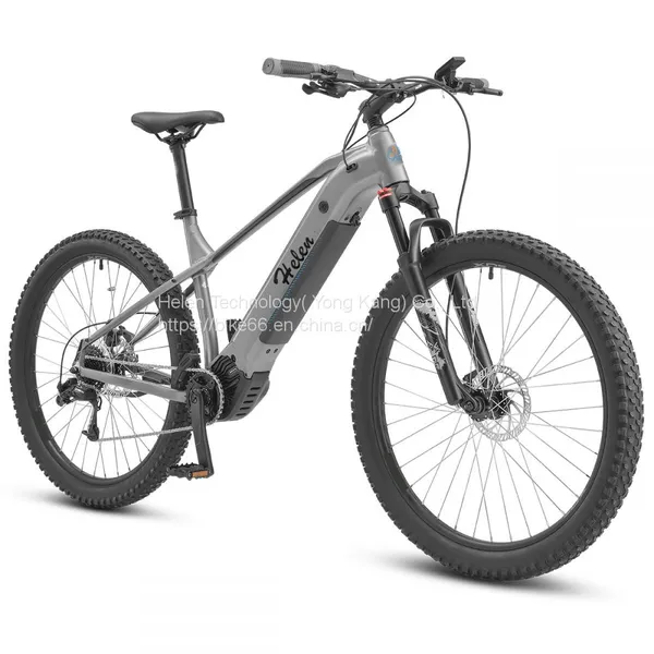 Trustworthly Factory Electric Bike 48V 60V 350w 500w 10ah 13ah Electric Cycle for Daily Life photo-2