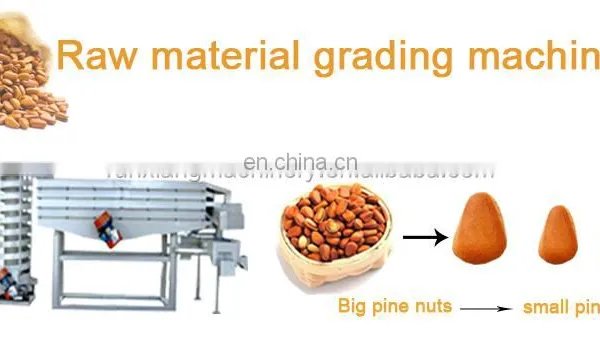 Hot Sale Mongolia Pine Cone Nut Cracker Pine Nut Cone Separating Machine Pine Nut Production Line photo-4