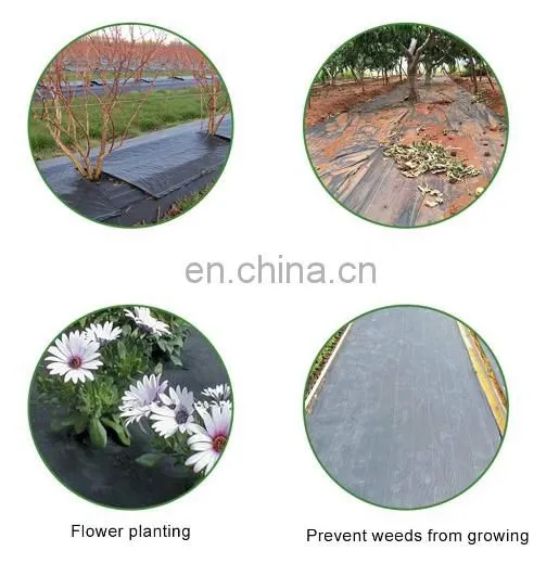 Landscape Ground Cover Heavy PP Woven Weed Barrier,Soil Erosion Control and UV Stabilized, Plastic Mulch Weed Block photo-5