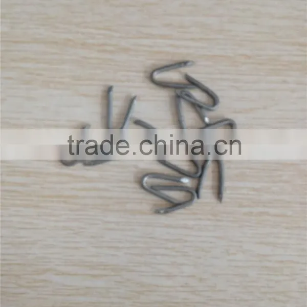 Fence Staple Factory Price photo-3