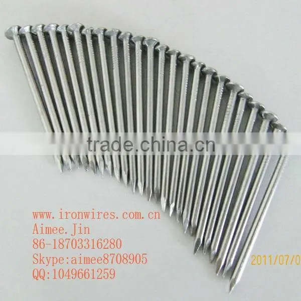 Common Round Wire Nail