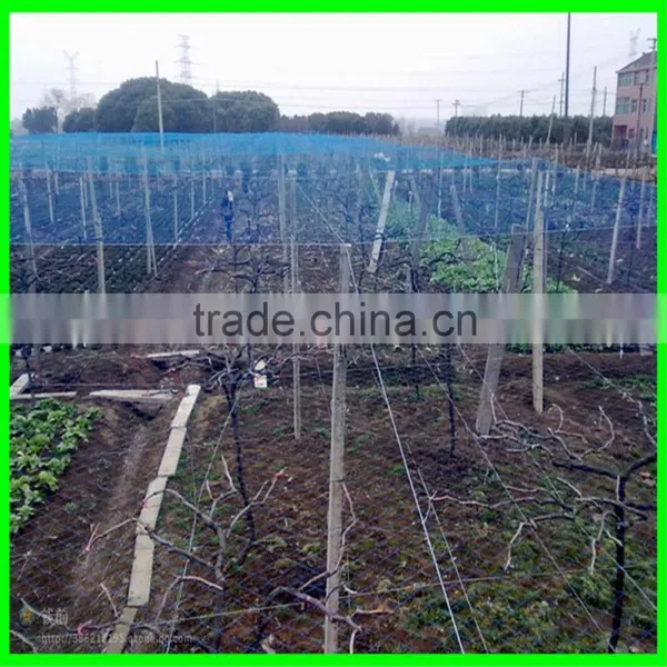 Ultra Fine Insect Netting Garden Crop Veg Protection photo-2