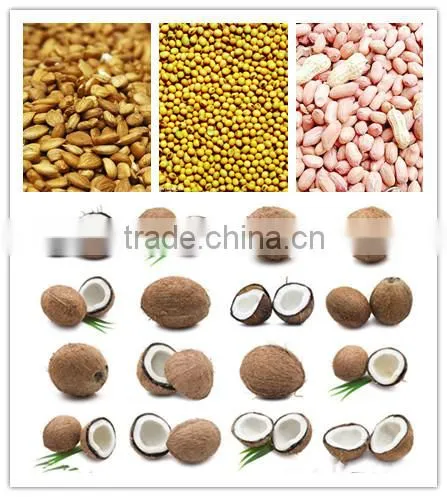 China Virgin Ginger Oil Extraction Machinery for Edible Seasonings,cooking Moringa Seed Oil Extraction Machine photo-2