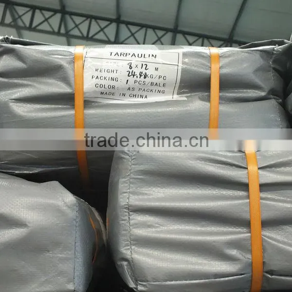 Double Silver Poly Tarp Waterproof Plastic Tarps Direct Sheet Manufacturer Truck Tarpaulin Covers photo-2