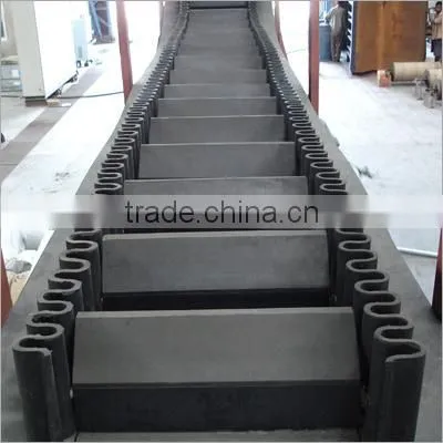 Sidewall Conveyor Belts With Small Spacing photo-3