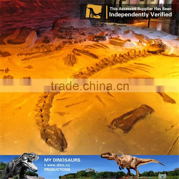 MY Dino-C091 Simulation Dinosaur Fossils Specimen Replica photo-6