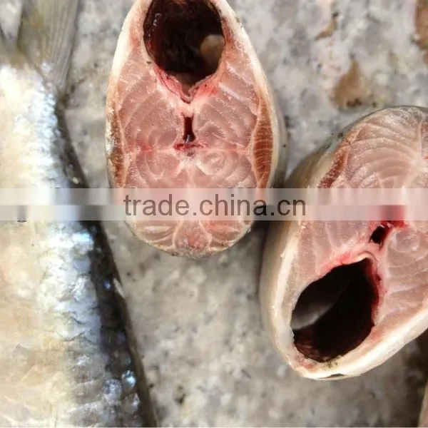 New Coming Fish WR Sardine 8-10pcs/kg for Bait/market photo-4