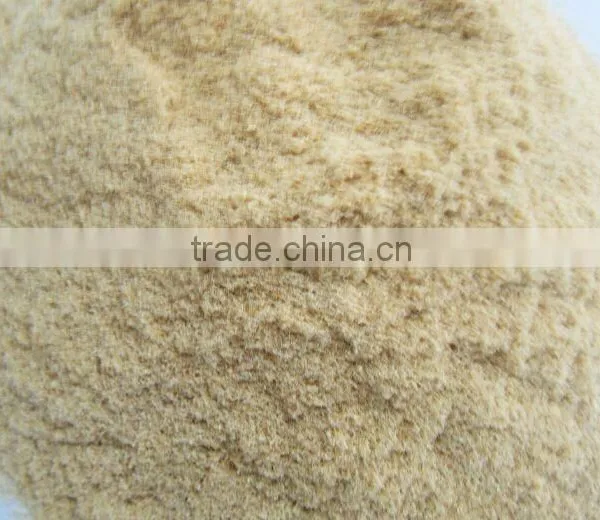 Wood Powder photo-2