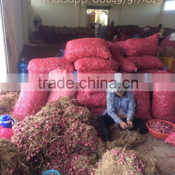 Red Fresh Onion Best Prices/high Quality (Phone: +84979171029//Email: Julia.vilaconic@gmail.com) photo-2