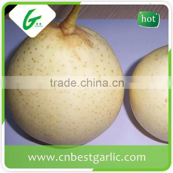 KOSHER Passed Chinese Bulk Crystal Fresh ya Pear photo-6
