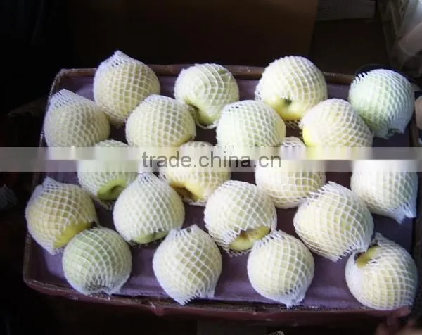 9KG Fresh Golden Pear 40-44 Size photo-6