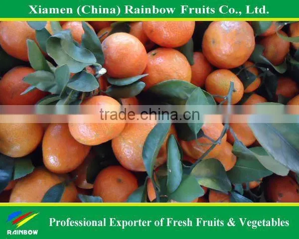 Shatang Mandarin