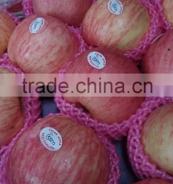 Chinese Fuji Apple photo-4