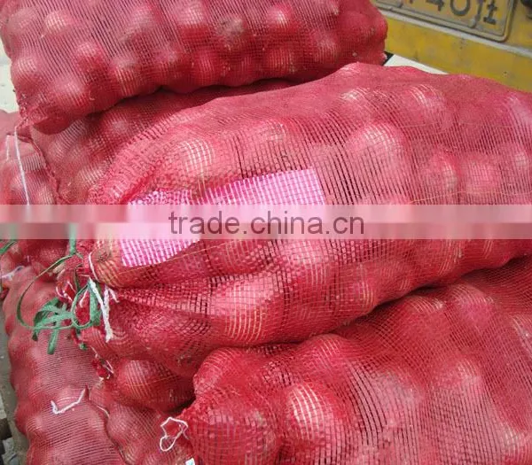 China New Crop Fresh Onion photo-4