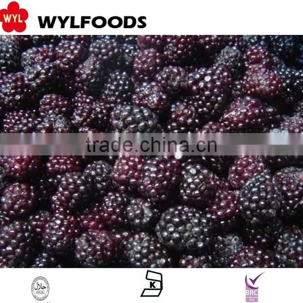 Chian Fruite Frozen IQF Black Berry photo-6